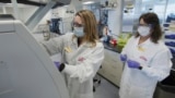 FILE - In this May 2020 photo provided by Eli Lilly, researchers prepare cells to produce possible COVID-19 antibodies for testing in a laboratory in Indianapolis. (David Morrison/Eli Lilly via AP, File)