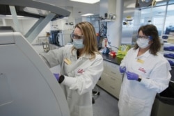 FILE - In this May 2020 photo provided by Eli Lilly, researchers prepare cells to produce possible COVID-19 antibodies for testing in a laboratory in Indianapolis.