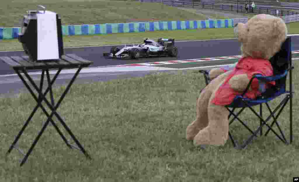 German driver Nico Rosberg steers his Mercedes as teddy bear is placed on a chair during the second practice session for Sunday&#39;s Formula One Hungary Grand Prix, at the Hungaroring racetrack, in Budapest, Hungary.