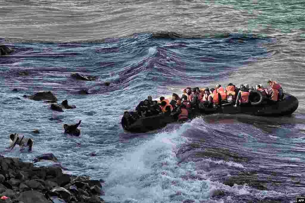 Refugees and migrants try to reach the shore on the Greek island of Lesbos, despite a rough sea, after crossing the Aegean Sea from Turkey. At least 17 children drowned when three boats sank en route, the latest tragedy to strike migrants braving wintry seas to seek asylum in Europe.