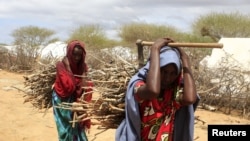 Newly arrived Somali refugee women carry firewood at the Ifo Extension refugee camp in Dadaab, near the Kenya-Somalia border, October 19, 2011. 