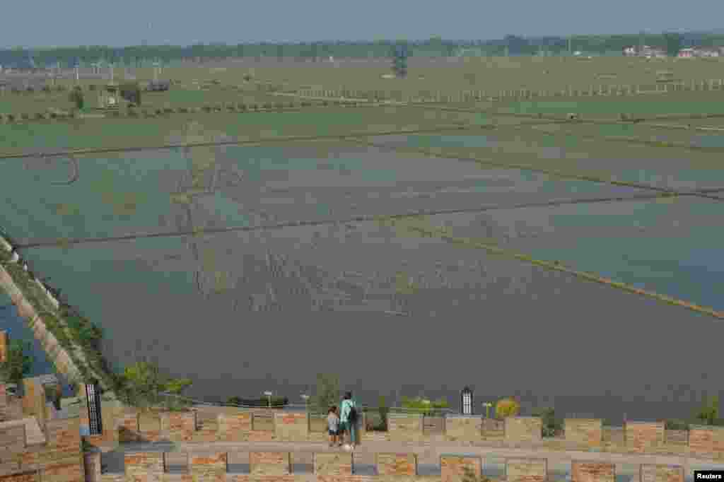Rice plants are seen in the shape of a Chinese empress at a rice field in Shenyang, Liaoning Province, China.