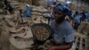 Environ 849.000 tonnes de noix de cajou produites en Côte d’Ivoire en 2020