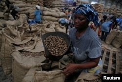 Women work at a cashew nut warehouse in Abidjan, Ivory Coast, July 12, 2018.