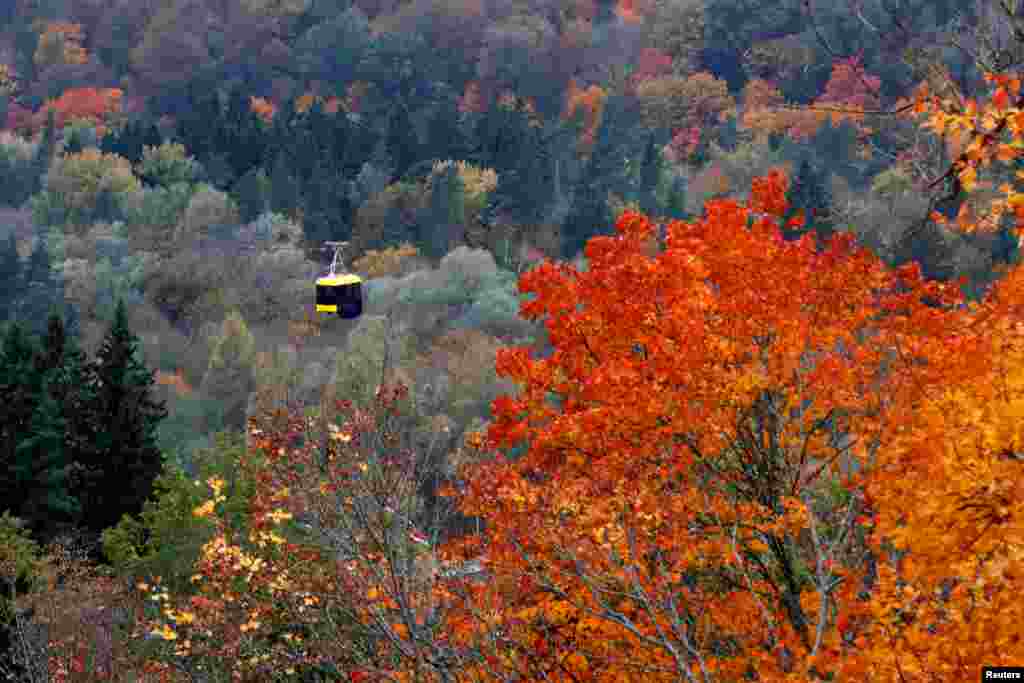فصل پائیز و رنگارنگ برگ درختان در لتونی