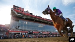 The 2014 Preakness Stakes