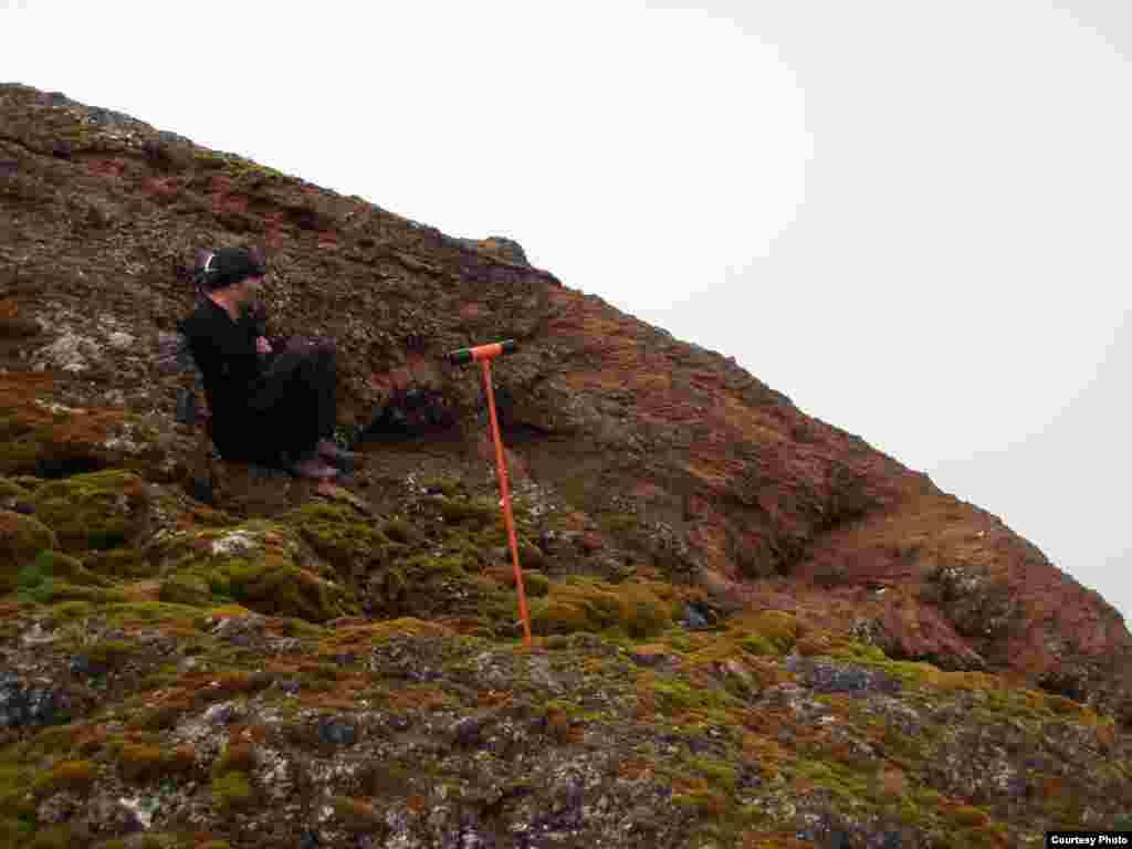 El banco de musgo de la isla Elefante en las islas Shetland del Sur, con más de 500 años de antiguedad es capaz de revelar información importante a los científicos. (Dan Charman/Matt Amesbury) 