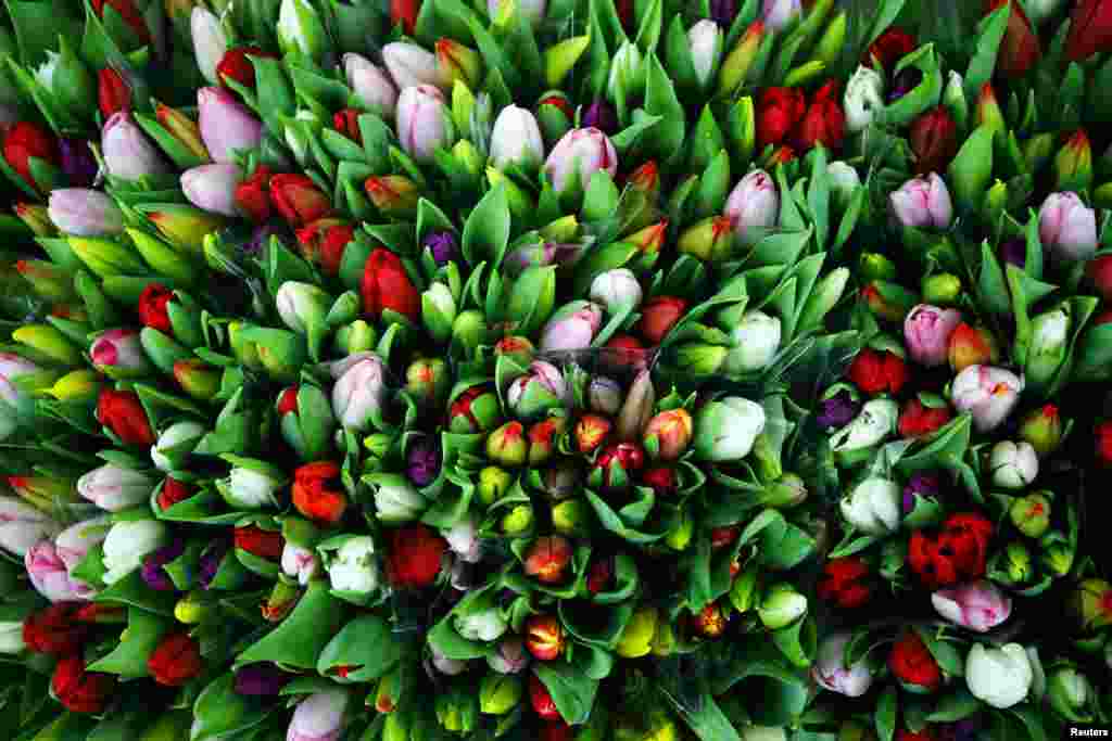 Bunga-bunga dijual sebelum Hari Valentine di pasar bunga di Vienna, Austria.