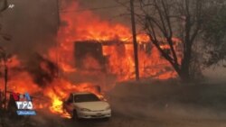 تصاویری از آتش‌سوزی جنگلی در شمال کالیفرنیا