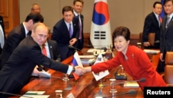 South Korean President Park Geun-hye (R) shakes hands with Russian President Vladimir Putin (L) during their meeting at the presidential Blue House in Seoul, Nov. 13, 2013.