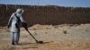 To Walk the Earth in Safety Report for 2022