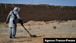 A deminer from the HALO (Hazardous Area Life-Support Organization) Trust scanning the ground for mines with a metal detector in Nad-e-Ali village in Helmand province. (File)