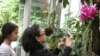 Public Gets Rare View of Endangered Plants