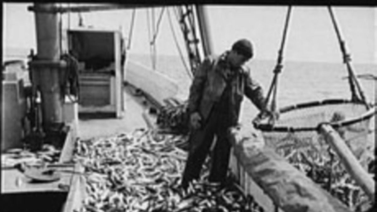 Historic Gloucester Fishing Port Hit by Perfect Economic Storm