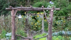 This undated photo shows the garden of writer Lee Reich in New Paltz, NY. A mixed garden of vegetables, flowers, herbs and fruits can please all the senses. (Lee Reich via AP)