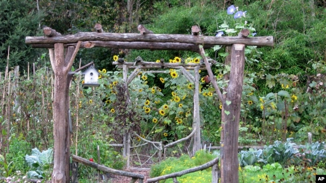 This undated photo shows the garden of writer Lee Reich in New Paltz, NY. A mixed garden of vegetables, flowers, herbs and fruits can please all the senses. (Lee Reich via AP)