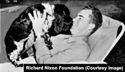 Ричард Никсон и его знаменитый пес Чекерс
