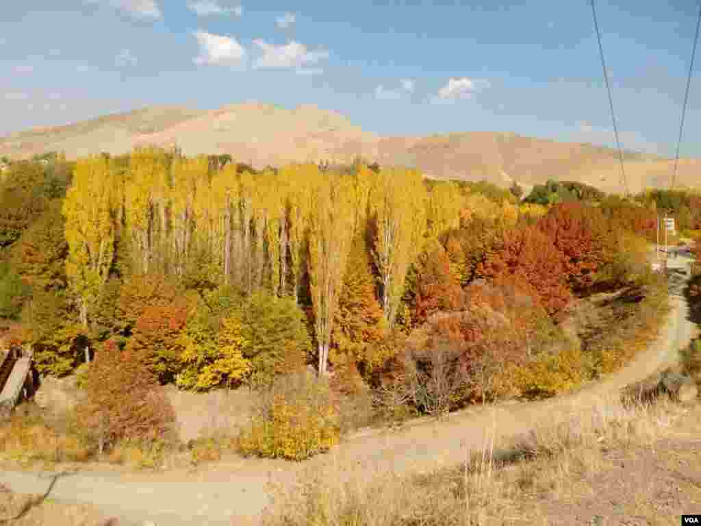 پاییز - کرج روستای جلنگدار عکس: هادی (ارسالی شما)