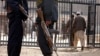 امرالله صالح: زندانیان طالبان باید اعدام شوند