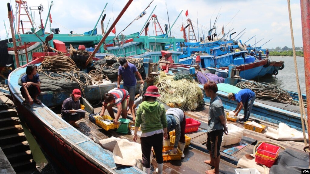 Buổi sáng trên cảng cá Bình Châu