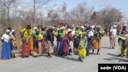 Nhengo dzeZanu PF dzakawanda dziri kuti VaMnangagwa vasaenda pamudyandigere.