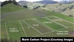 The plan for the original research block to test compost’s carbon retention potential on John Wick’s Nicasio Native Grass Ranch.