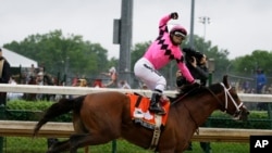 Luis Saez rides Maximum Security across the finish line first during the 145th running of the Kentucky Derby horse race at Churchill Downs, May 4, 2019, in Louisville, Ky. 