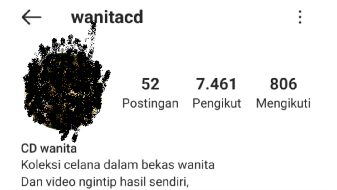 Hasil tangkapan layar akun Instagram @wanitacd sebelum diturunkan.