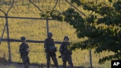 在韩国坡州非军事区附近的铁丝网边巡逻的韩国军人。（2014年10月7日）