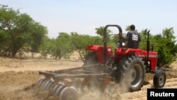 A farmer plows the field in Saulawa village, on the outskirts of Nigeria's north-central state of Kaduna, May 2013 file photo. 