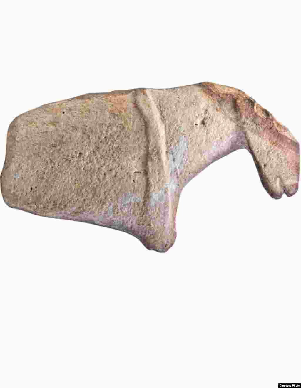 This is a fragment of a member of the horse family. Fine markings around the muzzle and shoulder hint at an early bridle. Dated from about 7000 BCE, it suggests the domestication of the horse may have occurred far earlier than 3500 BCE in Central Asia. (F