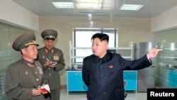North Korean leader Kim Jong-un visits the Turf Institute of the Bioengineering Branch in Pyongyang, May 6, 2013. (KCNA)