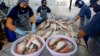 Vietnam Bans Unsafe Seafood in Central Provinces