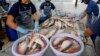 Vietnam Bans Unsafe Seafood in Central Provinces