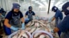 Việt Nam đệ đơn lên WTO tố cáo Mỹ hạn chế nhập khẩu cá da trơn