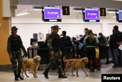 Police patrol with dogs near the LATAM airlines gates in Jorge Chavez airport in Callao, Peru, Aug. 16, 2018.