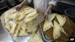 In this photo taken Thursday, Aug. 12, 2010, Joe Chan, chief chef of Sun Tung Lok Chinese Cuisine, prepares shark fin to be cooked at the kitchen of the restaurant in Hong Kong.