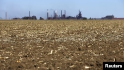 A dry maize field near Vanderbijlpark outside Johannesburg, South Africa, Oct. 1, 2015. Poor rains are forecast for the country's maize belt because of the El Nino weather pattern, expected to bring more drought to already-parched southern regions in Africa and potential flooding in the east. 