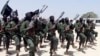 미군 “소말리아 공습...알샤바브 반군 100명 이상 사망”