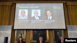 The Royal Academy of Sciences members present 2016 Nobel Chemistry Prize during a news conference by the Royal Swedish Academy of Sciences in Stockholm, Sweden October 5, 2016. The winners of the 2016 Nobel Chemistry Prize (L-R) Jean-Pierre Sauvage, James Fraser Stoddart and Bernard L Feringa are displayed on a screen. TT News Agency/Henrik Montgomery/via Reuters