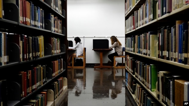 Students study in a library on the campus of California State University, Long Beach in Long Beach, Calif. (File. AP Photo/Jae C. Hong, File)