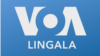 Basango na VOA Lingala