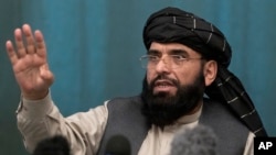Pejabat senior Taliban, Suhail Shaheen 