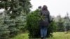 امریکہ کی ایک یونیورسٹی سے نایاب درخت غائب، تین طلبہ پر چوری کا الزام