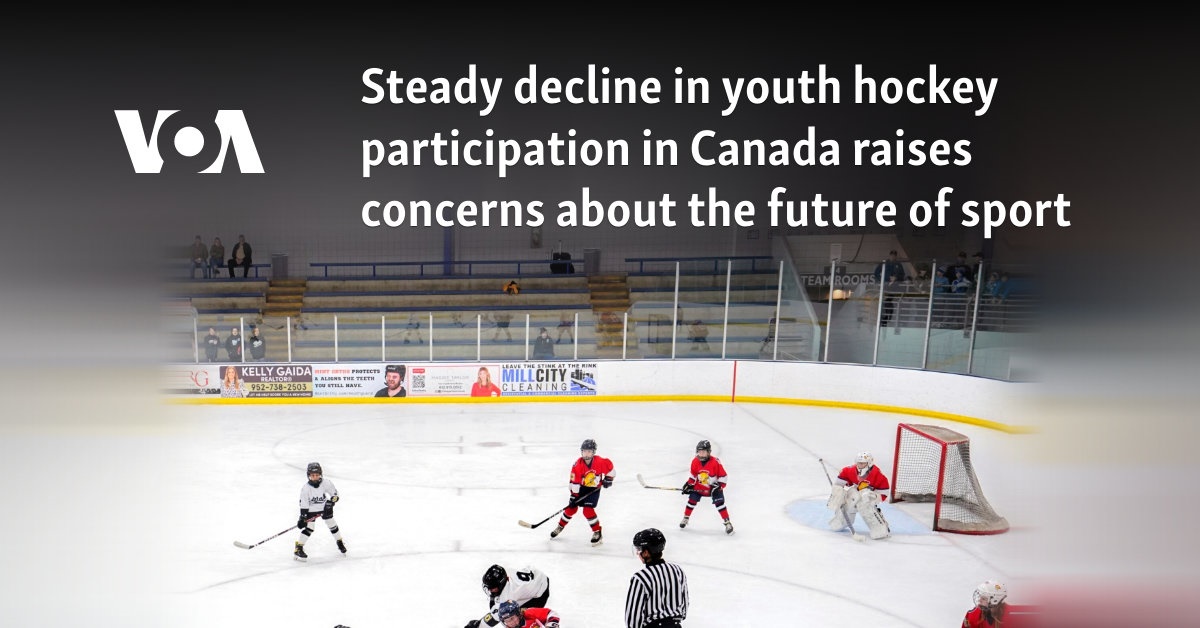 Steady decline in youth hockey participation in Canada raises concerns about the future of sport