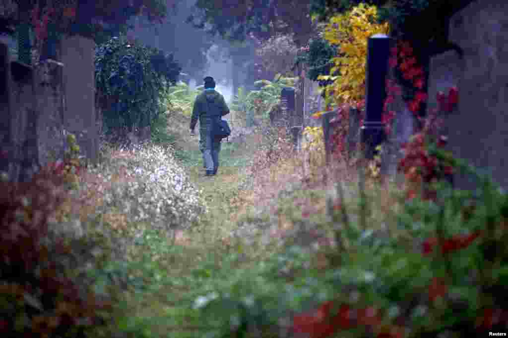 A man walks along a path between tombstones at the old Jewish part of the Zentralfriedhof cemetery on an autumn day ahead of All Saints Day in Vienna, Austria.