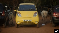 Vanessa Able's Tata Nano, which she drove across India, is passed by cattle in the road.