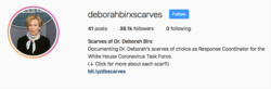 Instagram@deborahbirxscarves. (Foto: Courtesy/Instagram)