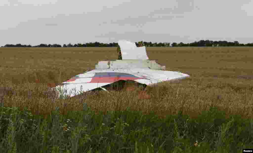 A part of the wreckage of a Malaysia Airlines Boeing 777 plane is seen after it crashed near the settlement of Grabovo in the Donetsk region.