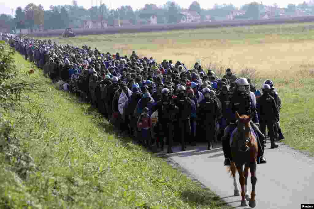 A mounted policeman leads a group of migrants near Dobova, Slovenia. Slovenia&#39;s parliament is expected to approve changes to its laws to enable the army to help police guard the border, as thousands of migrants flooded into the country from Croatia after Hungary sealed off its border.